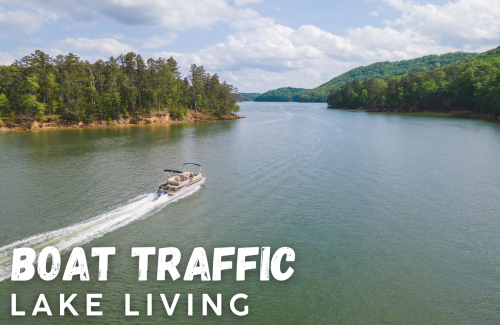 Lake Life Boat Traffic